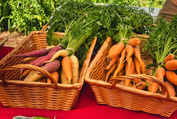 carrots in baskets - picture for article on vitamin E's health benefits