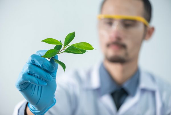 scientist looking at a piece of herb