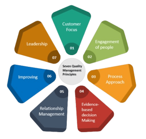 colorful infographic depicting the 7 Quality Management Principles in Pharmaceutical Industry