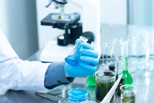 Person Holding Laboratory Flask - Medicinal Product Lab Testing