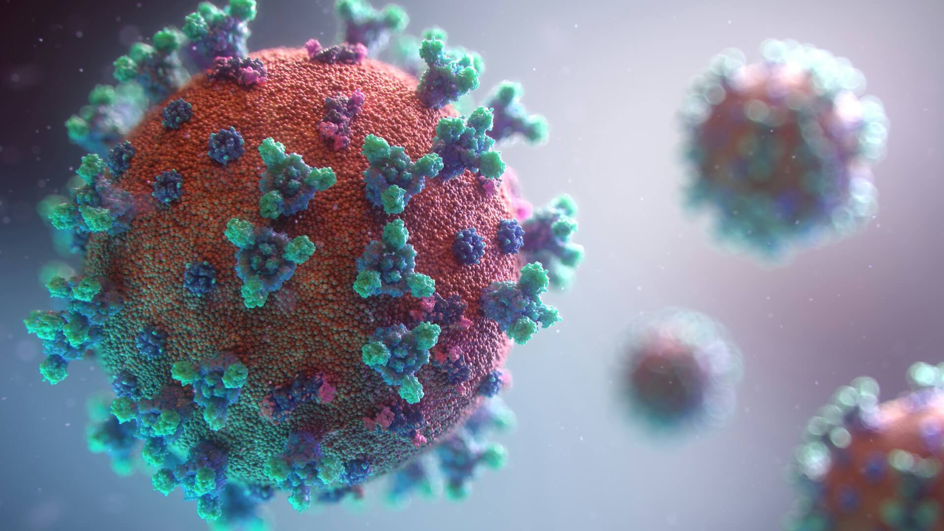 What is HMPV – Human Metapneumovirus?