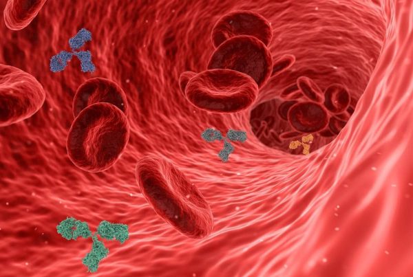 3d blood vessels image used in article on omega-3 fights inflammation