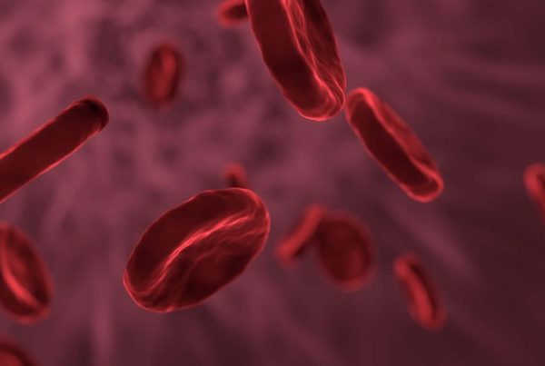 3d image of blood vessels - used in article on omega-3 cholesterol benefits