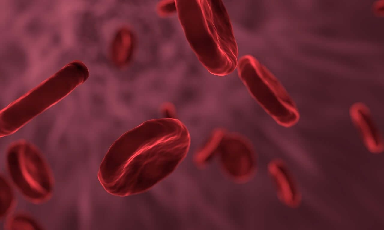 The Truth About Omega-3 and Cholesterol Benefits: 2025 Insights